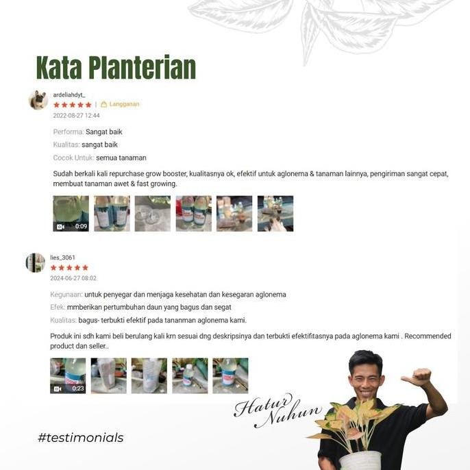 Vitamin B1 Tanaman Organik Grow Booster 1 Liter Allshop