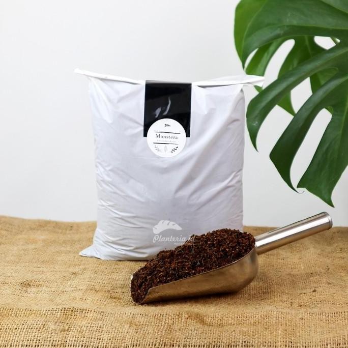 Media Tanam Monstera Media Tanam Organik Khusus Monstera 1 Kg Allshop