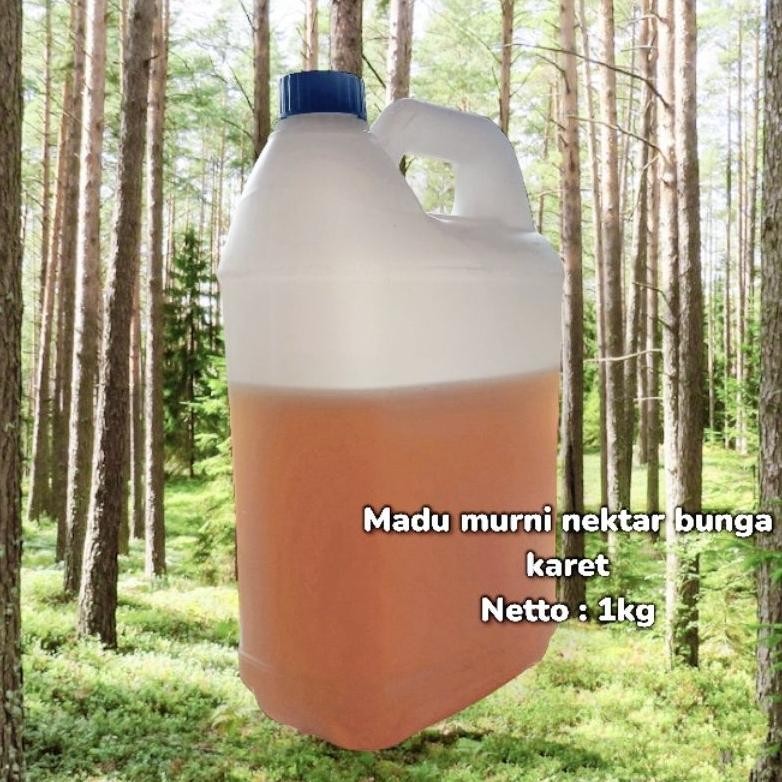 

(Terbaru) Grosir 5kg madu murni nektar bunga karet (Terlaris)