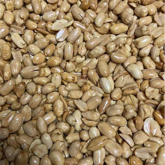 

1Kg Kacang Bawang Goreng Gurih Di Goreng Dadakan Ukuran Sedang Tidak Kecil Kacang Bawang 1Kg Matang