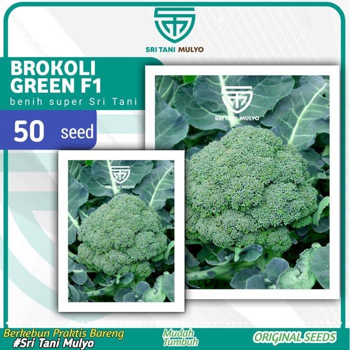 Cod - 50 Biji Bibit Benih Sayur Brokoli Green F1 - Toleran Panas / Bibit Sayur Dataran Rendah / Sayu