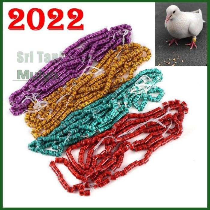 [Cod] - Ring Merpati Import Asli 2022 - Cincin Merpati Cincin Burung Dara