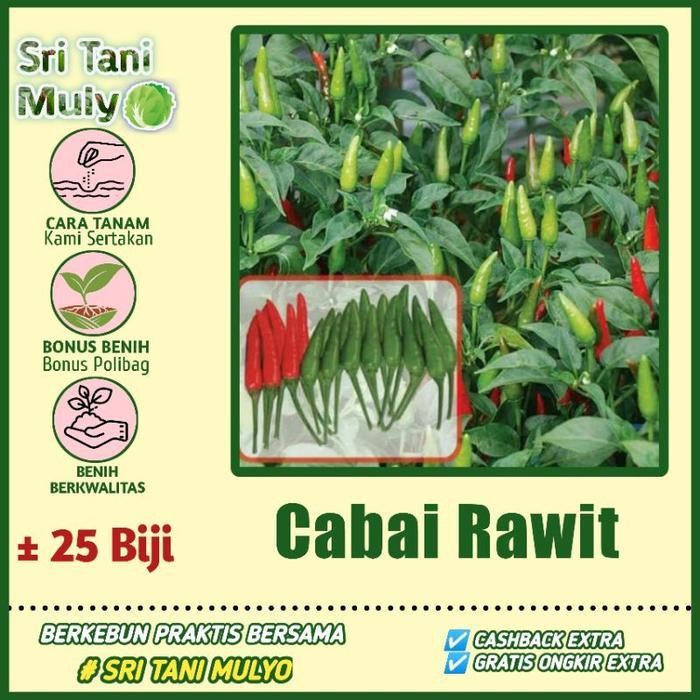 [Cod] - 25 Biji - Benih Cabai Rawit Hijau Robin F1 - Bibit Cabe Benih Sayuran