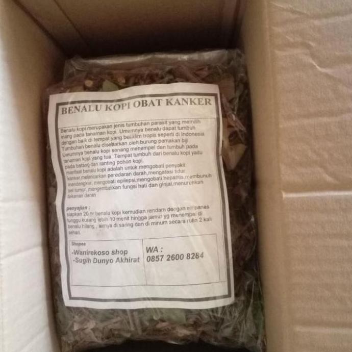 

welcome to tahuan jaya obat kanker teh herbal benalu kopi kering 500 gram