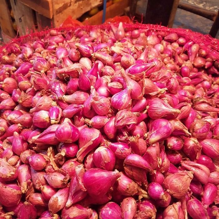 

LS Bawang Merah Brebes Super 1 kg - Grosir Termurah