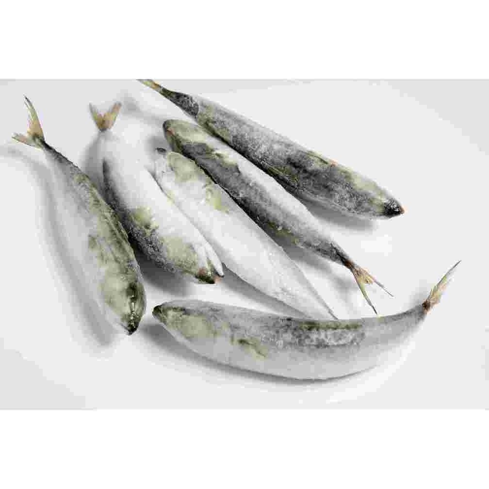 Ikan Salem 1Kg/Ikan Salem Murah/Ikan Laut/Seafood