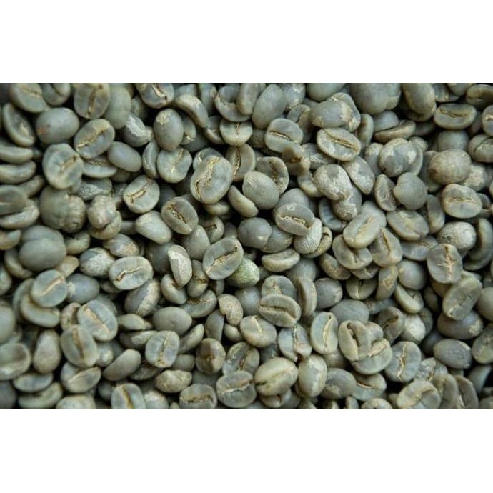 

GREEN BEANS KOPI EAST TIMOR (1 KG) SPECIALTY GRADE ORIGINAL DAN TERPERCAYA