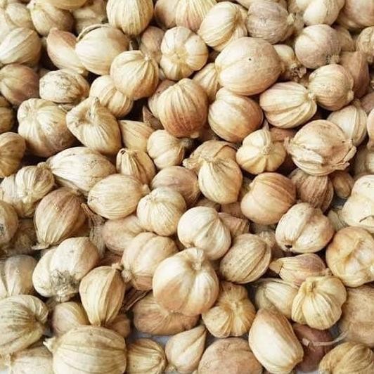 

Kapulaga Kering Premium