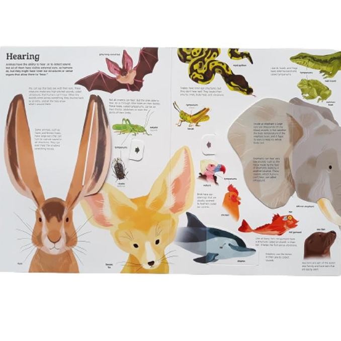 TERLARIS Buku The Ultimate Book Of Animals More Than 50 Flaps Pop Up twirl