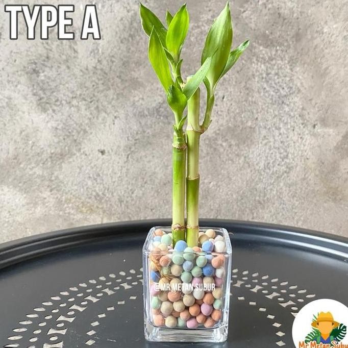 lengkap paket Hiasan meja Bambu Air fengshui minimalis dekorasi rumah kantor dll