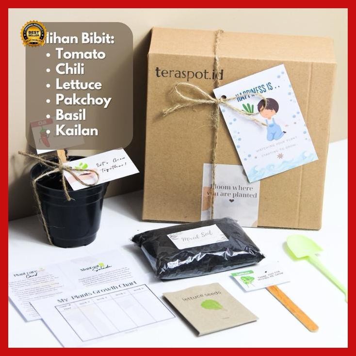 (Promo) Paket Berkebun Dengan Bibit Tanaman: Hampers Grow Kit Bibit (Kids Activity Box) - Pilihan Bi