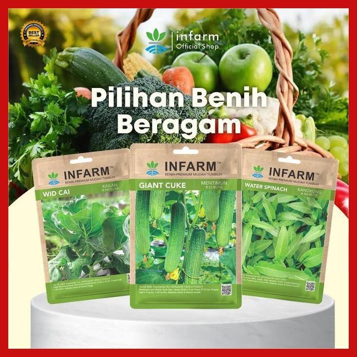 (Best Saller) Infarm - Bibit Sayuran Kangkung Benih Sayuran Benih Sayur Bibit Tanaman Kangkung Tanam