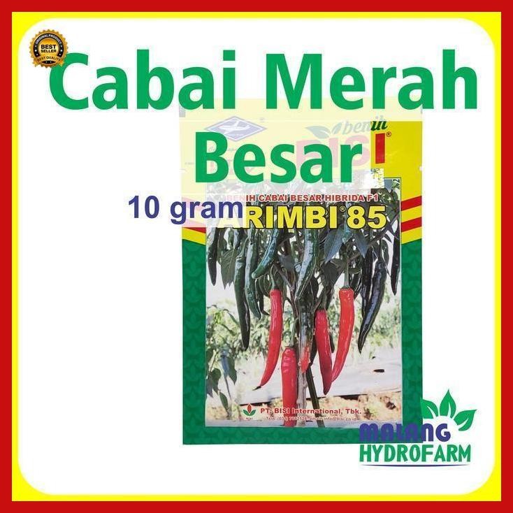 (Diskon) Benih Cabai Besar Arimbi 85 10 Gram Cap Kapal Terbang Merah Hijau Bestseller