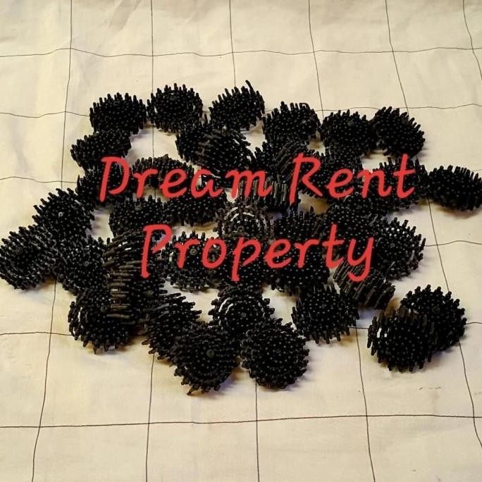 Bioball Rambutan Bio Ball Rambutan