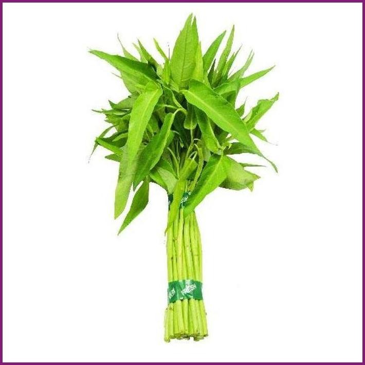

STOCK READY DAUN KANGKUNG IKAT 150 GR TERBARU