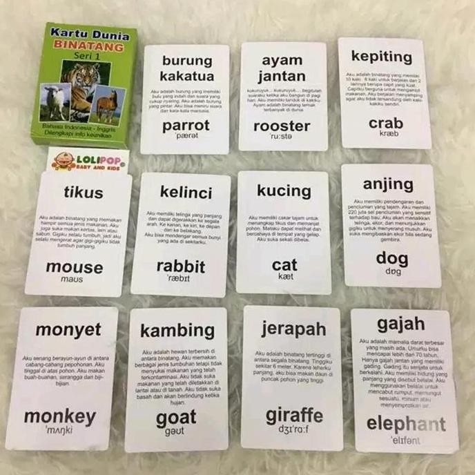 Kartu Binatang Seri 1 Flash Card Bayi Murah Hewan - Mainan Edukasi Ana