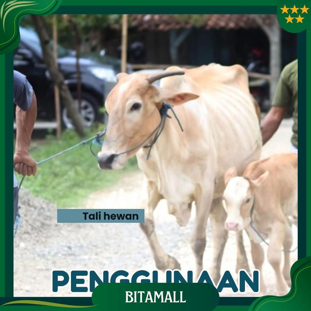 

Tali Tampar Ukuran 2Mm Panjang 220 Meter Cod