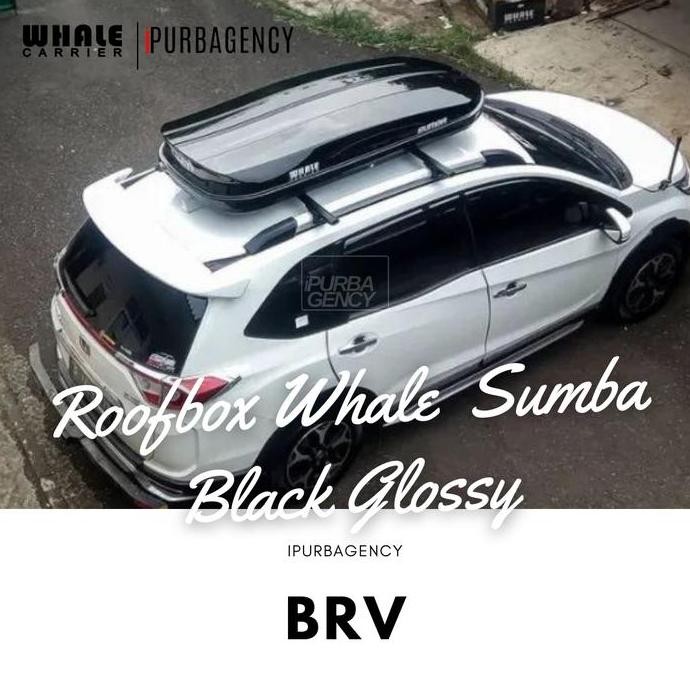 Roof box Whale Sumba Bagasi atap Mobil