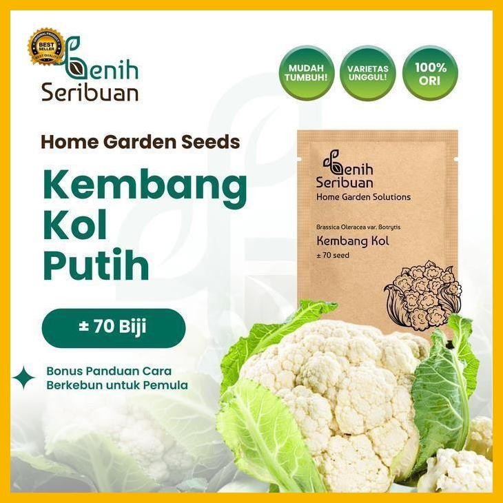 

(Terbaru) Benih Kembang Kol F1 - Benih Sayuran Seribuan Bestseller
