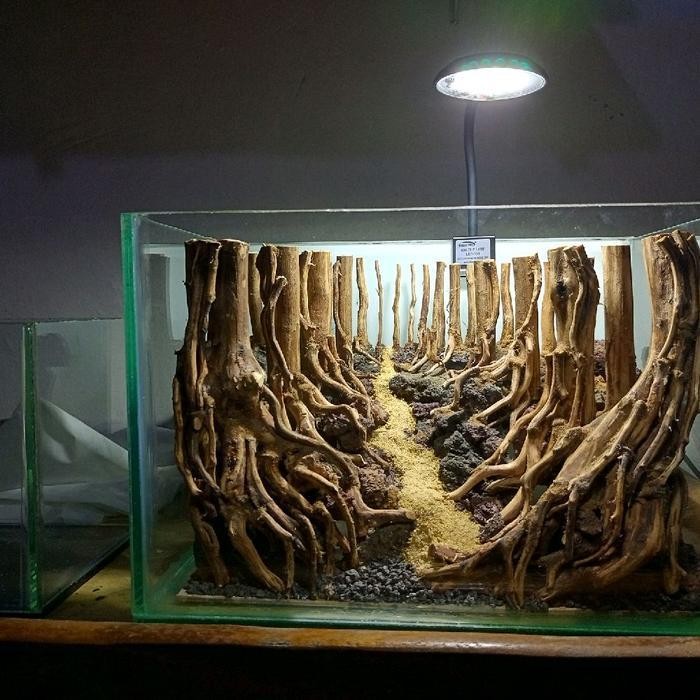 RA Hardscape jungle aquascape aquarium