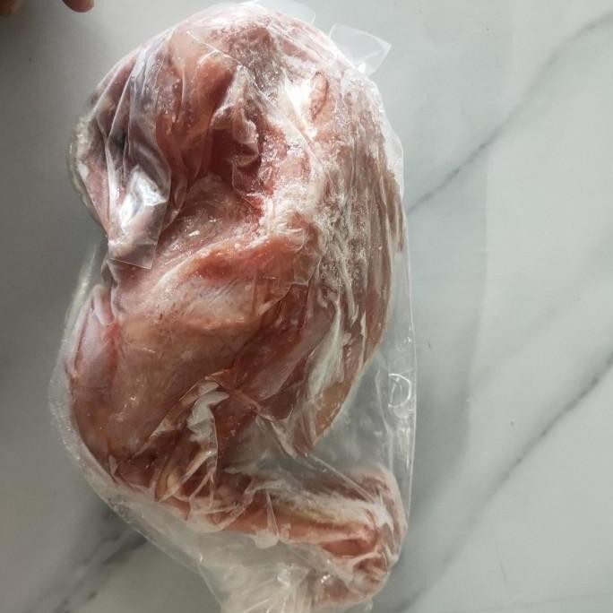 Ayam Pejantan / Ayam Panggang / Ayam Kampung