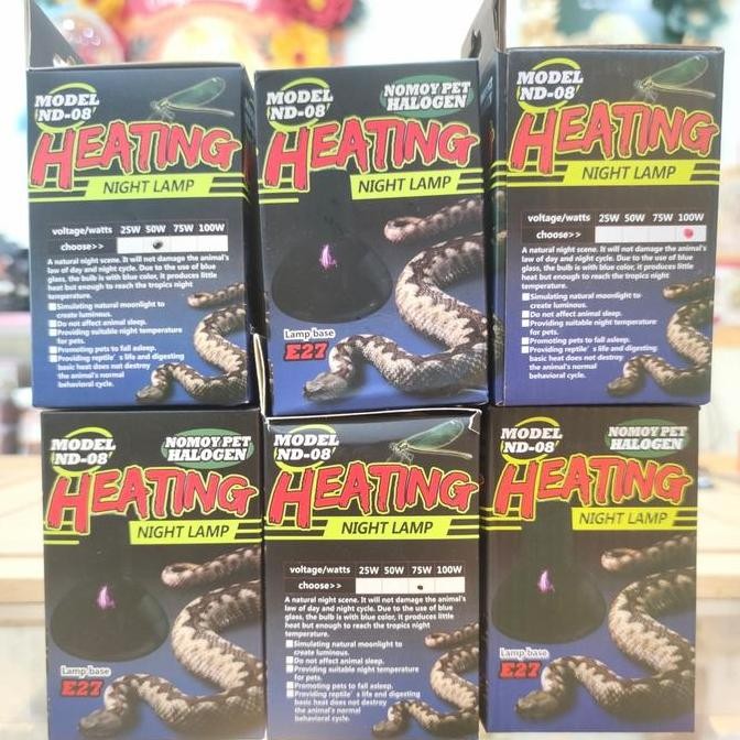Night Lamp Nomoy, Lampu Malam Nomoy, Night Lamp Tortoise & Reptile