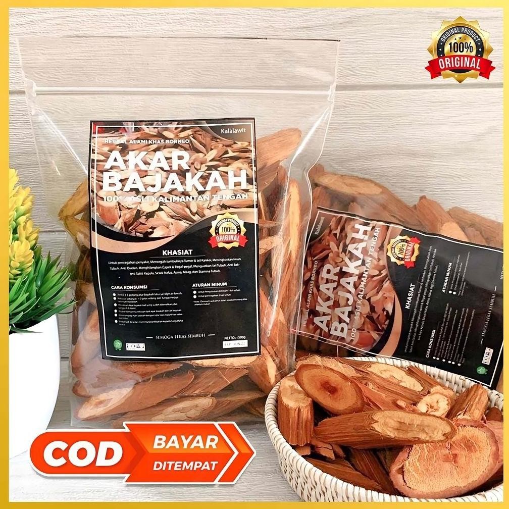 

[Kering Siap Seduh] Akar Bajakah Kalalawit Herbal Obat Kanker Tumor Asli Kalimantan 100% Original
