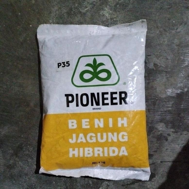 Benih Jagung Hibrida Pioneer P35 Berat 1Kg