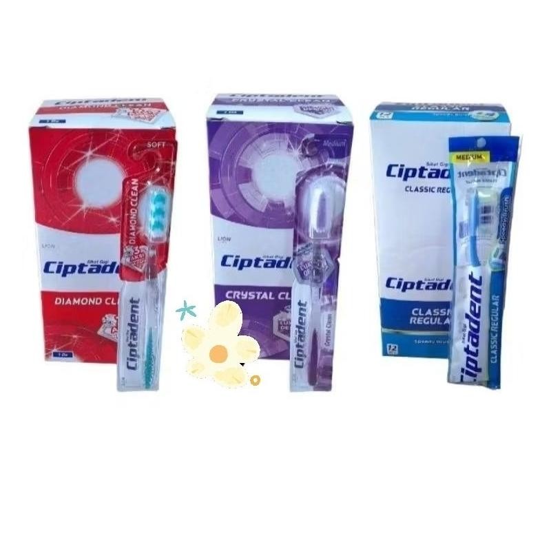 Terbaru 1 Box Sikat Gigi Ciptadent Isi 12Pcs Terbaru