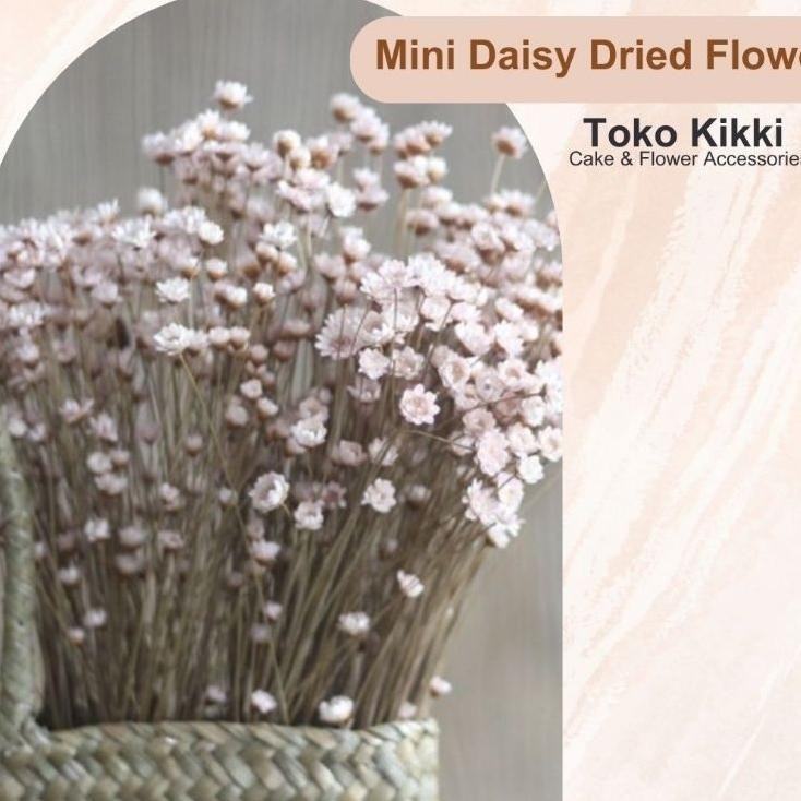 Mini Daisy Dried Flower Bunga Kering