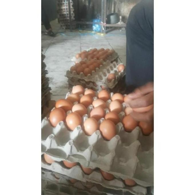 (Good) TELUR AYAM NEGERi Fresh 2kg isi 32 butir.. kirim