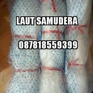 DB104 >> jaring ikan 1 inch 015 100/100 tate kep