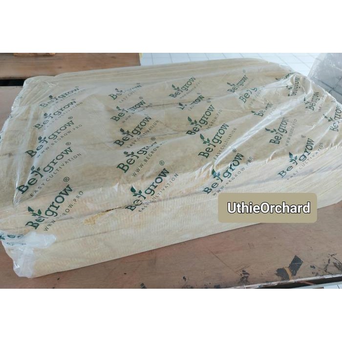 TERBARU Rockwool Be Grow - 1 Bal