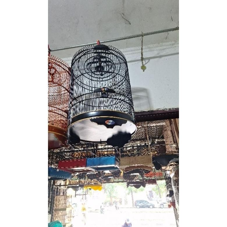 sangkar kandang burung murai rafi jaya