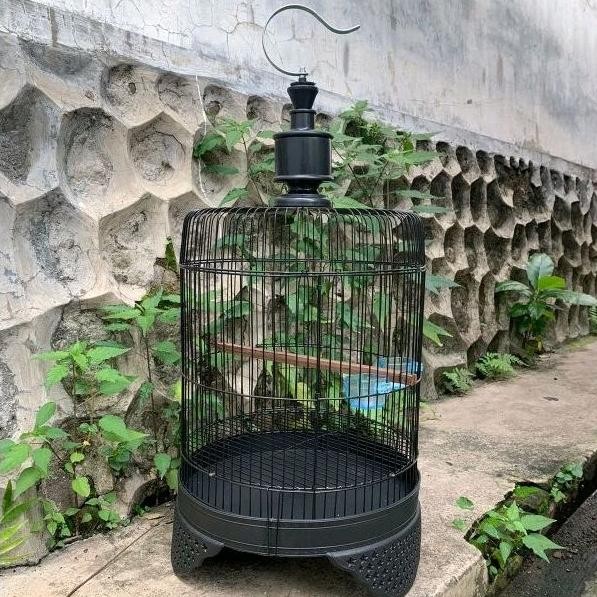 SANGKAR LOVEBIRD TANGGUNG KANDANG BURUNG KAPSUL CEBOL (baca deskripsi)