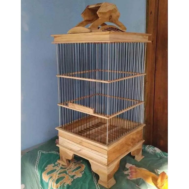 Sangkar Pleci Rep Pcmi