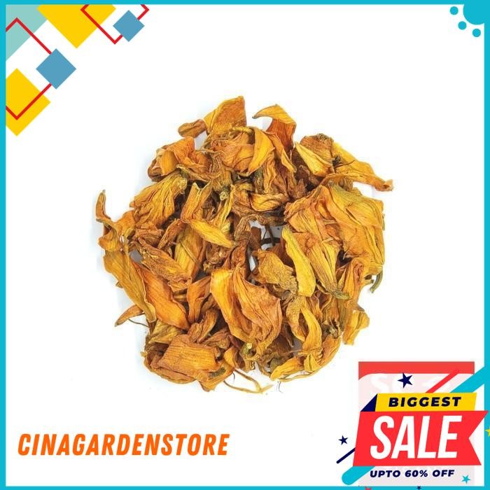

TEH BUNGA LILY ORANYE / ORANGE LILY FLOWER TEA TISANE 1 KG DISKON GEDE