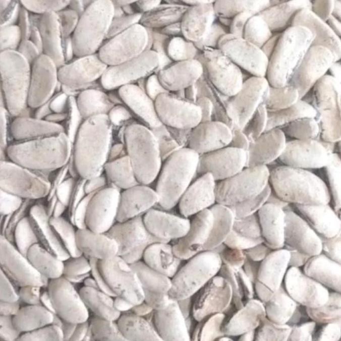 (Best) Biji Mahoni Kupas 500 gram - Biji Buah Mahoni Kupas