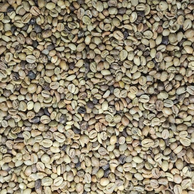 New GREEN BEAN KOPI MENTAH ROBUSTA LAMPUNG GRADE 3 - 1 KG