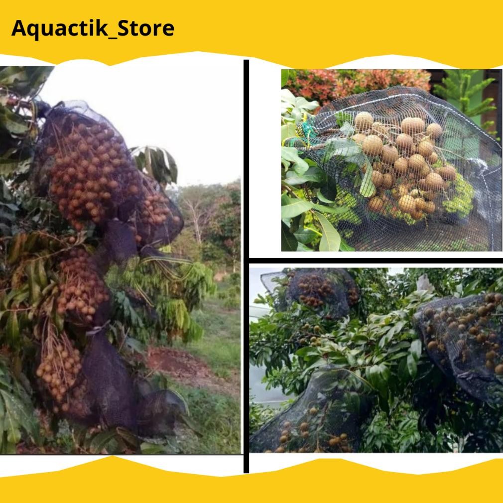 Promo Cod Pembungku Buah Dipohon Brongsong Blongsong Jaring Sarung Buah Anggur Klengkeng Jambu Air .