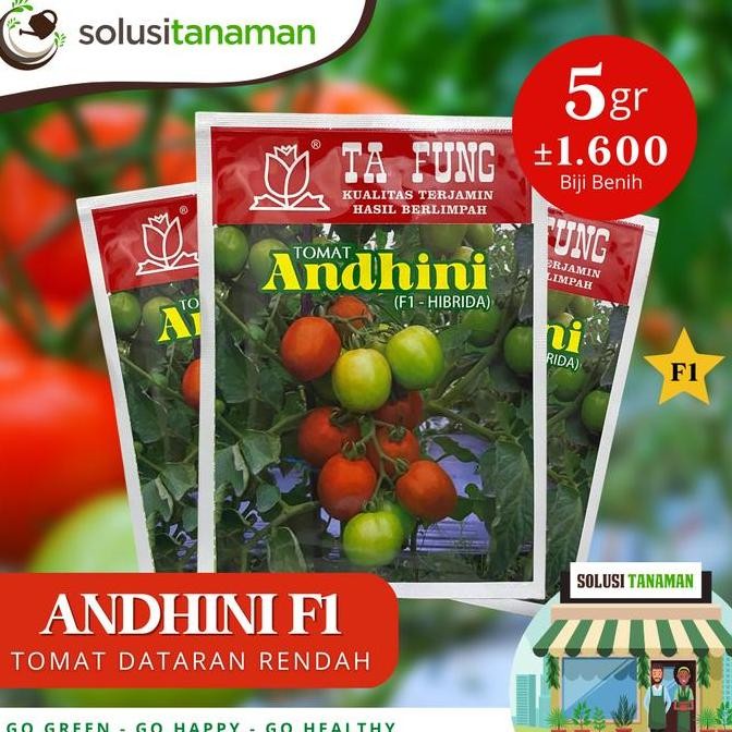 Benih Tomat Andhini F1 5gr (1.600 Biji) Dataran Rendah - Menengah Bibit Tomat Ta Fung Benih Tomat Ta