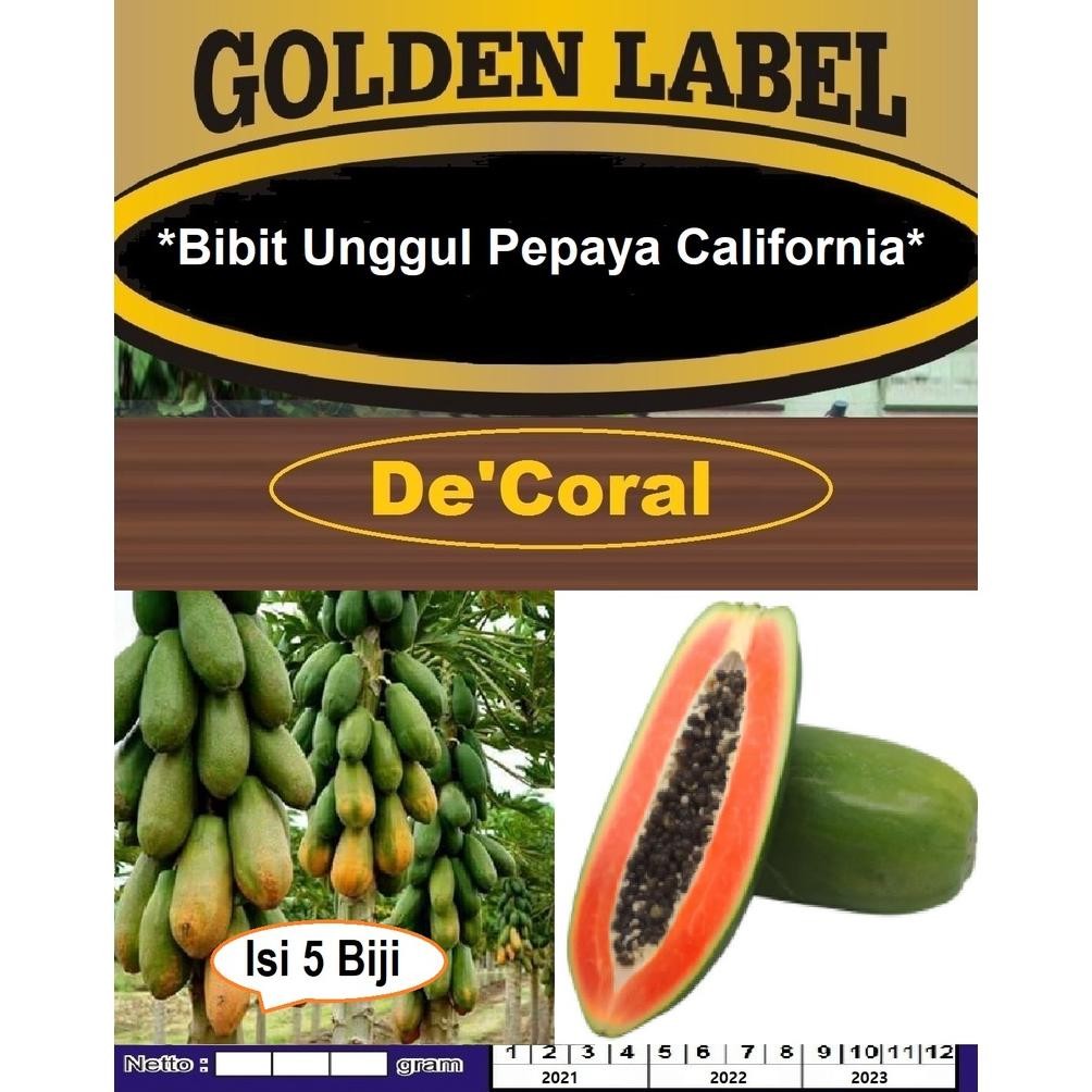 Bibit Unggul Pepaya California |Benih Pepaya California | Bibit Pepaya