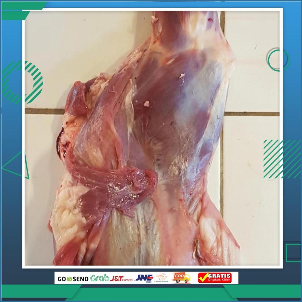 Paha Depan Kambing Muda 1 Gosend