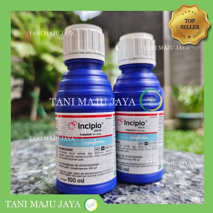Insektisida Incipio 200SC 100ml ORIGINAL ASLI 100% SYNGENTA Obat Hama Tanaman Ulat Padi Bawang Jagun
