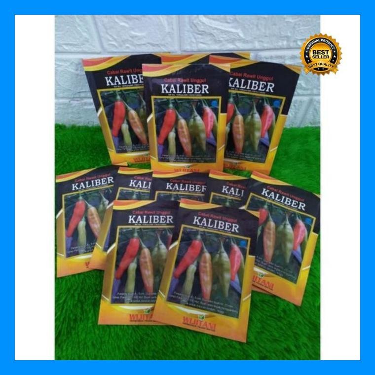 [Cod] - Benih Cabai Rawit Unggul Terbaru Kaliber Wijitani Repack Original 100 Biji - Bibit Cabai Raw