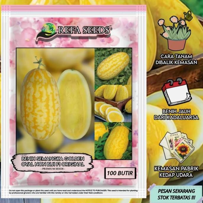 Promo Isi 100 Biji Benih Semangka Kuning Jumbo Non Biji / semangka Raksasa COD