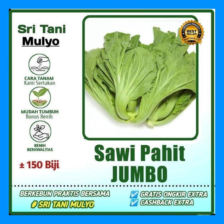 [Cod] - 150 Biji - Benih Sawi Pahit Jumbo Lokal - Bibit Sayuran - Benih