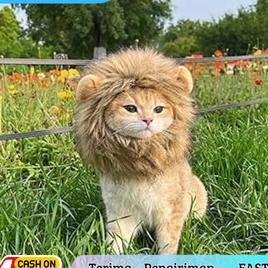 Codnsweetiepie Topi Singa Bear Beruang Panda Pet Cat Dog Hat Bunny Topi Beruang Untuk Anjing Kucing 