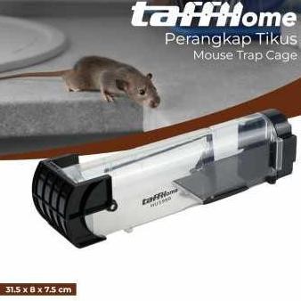 Jebakan Tikus Perangkap Mouse Trap Cage Jebakan Tikus TEG