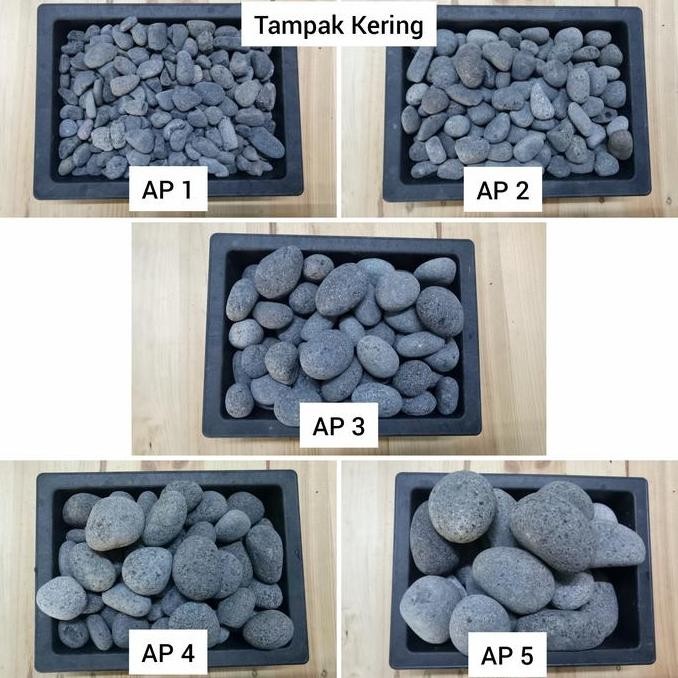 Batu Abu Pelabuhan (Batu Alam Koral Sikat Hias Taman)